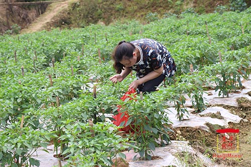 湖南華億生態(tài)農(nóng)業(yè)發(fā)展有限責(zé)任公司,株洲農(nóng)家樂,湖南戶外拓展,株洲哪里好玩,自助燒烤,露營,會議團(tuán)體接待