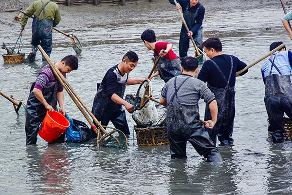 湖南華億生態(tài)農(nóng)業(yè)發(fā)展有限責(zé)任公司,株洲農(nóng)家樂,湖南戶外拓展,株洲哪里好玩,自助燒烤,露營,會(huì)議團(tuán)體接待