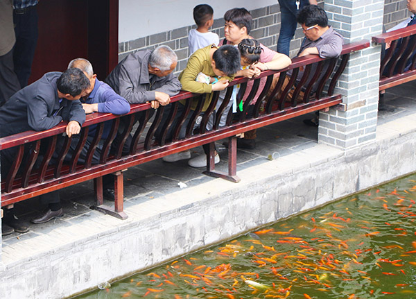 湖南華億生態(tài)農業(yè)發(fā)展有限責任公司,株洲農家樂,湖南戶外拓展,株洲哪里好玩,自助燒烤,露營,會議團體接待