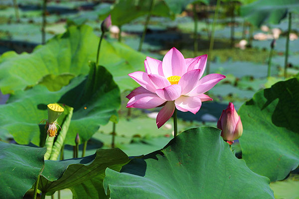 湖南華億生態(tài)農(nóng)業(yè)發(fā)展有限責(zé)任公司,株洲農(nóng)家樂(lè),湖南戶外拓展,株洲哪里好玩,自助燒烤,露營(yíng),會(huì)議團(tuán)體接待