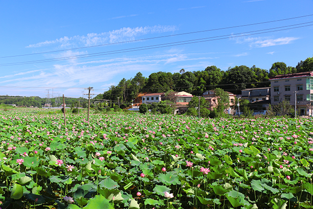 湖南華億生態(tài)農(nóng)業(yè)發(fā)展有限責(zé)任公司,株洲農(nóng)家樂,湖南戶外拓展,株洲哪里好玩,自助燒烤,露營,會議團(tuán)體接待