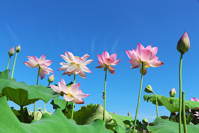 湖南華億生態(tài)農(nóng)業(yè)發(fā)展有限責(zé)任公司,株洲農(nóng)家樂,湖南戶外拓展,株洲哪里好玩,自助燒烤,露營,會議團(tuán)體接待