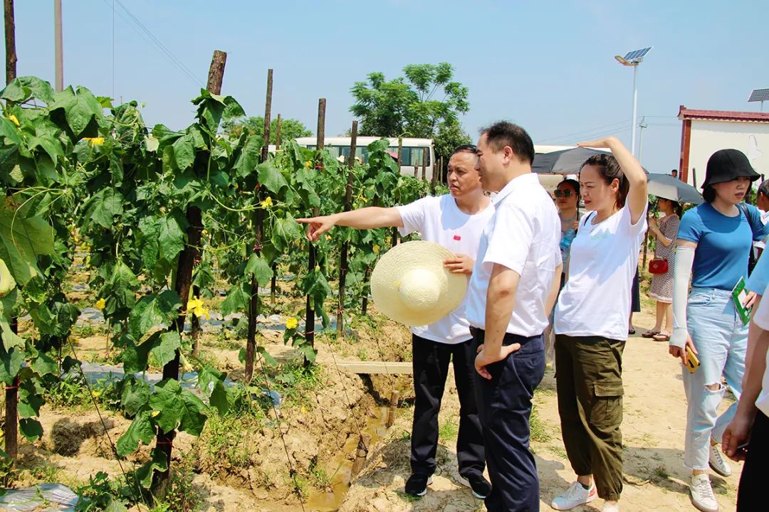 戶外拓展,自助燒烤,露營,會議團(tuán)體接待，團(tuán)建，