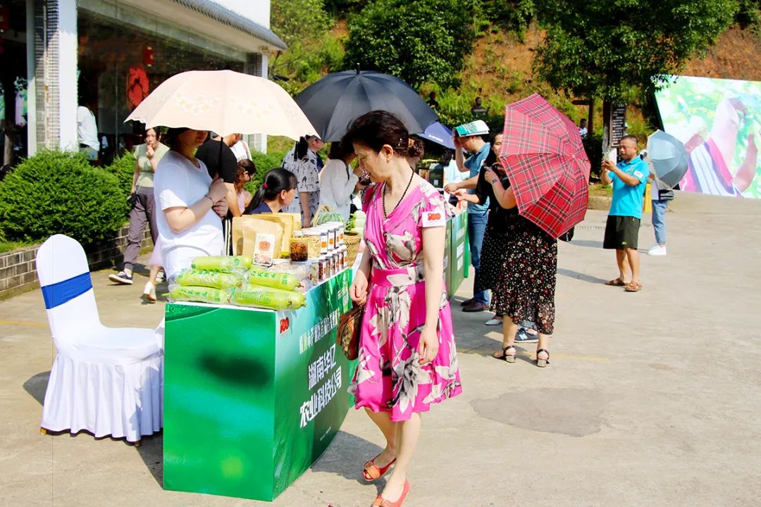 戶外拓展,自助燒烤,露營,會議團(tuán)體接待，團(tuán)建，