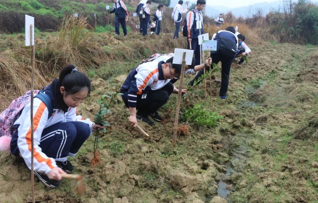 戶外拓展,自助燒烤,露營,會議團(tuán)體接待，團(tuán)建，